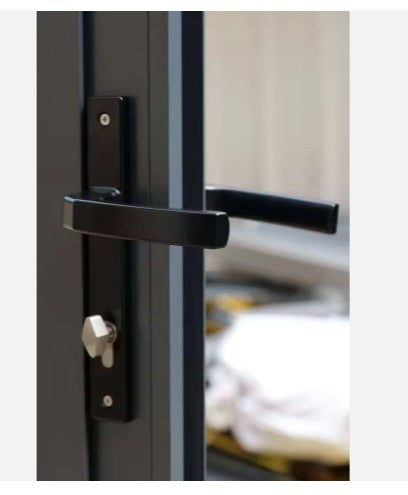 Aluminum Double Tempered Glass Door