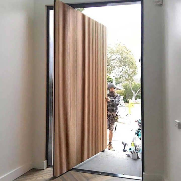 Modern Doors